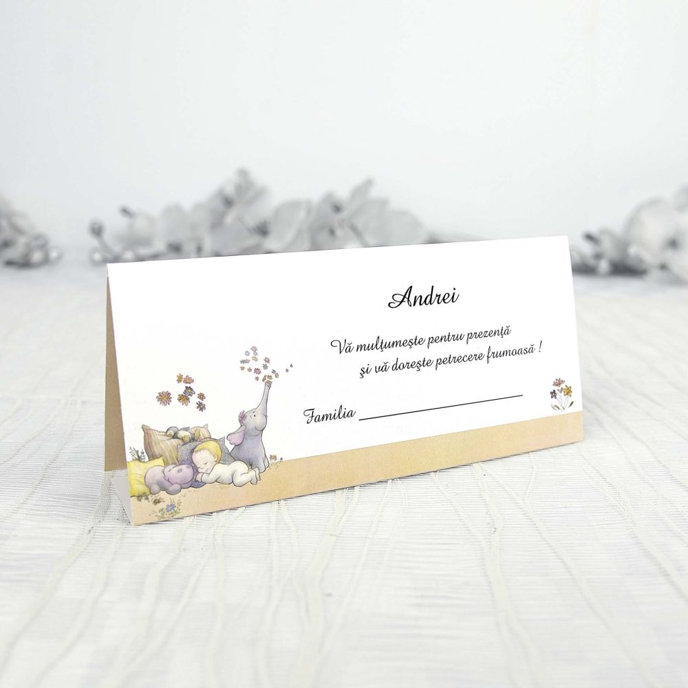 Poza Invitatie